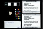 Foto (Objekt + Etikett) von Goniodromitidae indet.  (NHMW-GEO-1990-0041-4659)